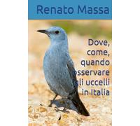 Dove, come, quando osservare gli uccelli in Italia