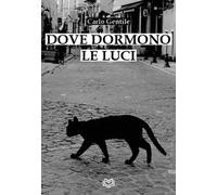 Dove dormono le luci. Nuova ediz.