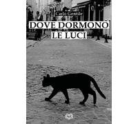 Dove dormono le luci. Nuova ediz. - [Nonsolopoesie Edizioni]