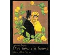 Dove fiorisce il limone