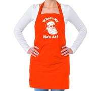 Dove My Ho's At - Unisex Adulti Grembiule - Divertente Babbo Natale Maleducato