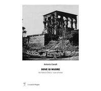 Dove si muore. Sull'idea di città e i suoi annessi