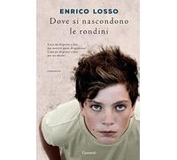 Dove si nascondono le rondini