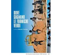 Dove Sognano Le Formiche Verdi (DVD)
