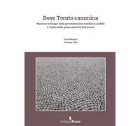 Dove Trento cammina. Nascita e sviluppo delle pavimentazioni stradali in porfido a Trento nella prima metà del Novecento