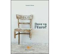 Dove va l'euro?