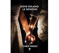 Dove volano le rondini