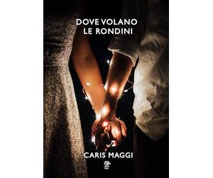 Dove volano le rondini