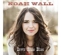 Down Home Blues - Noah Wall (Audio cd)