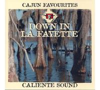 Down In La Fayette - Cajun Favourites