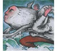 Down The River Of Golden Dreams - Okkervil River (Vinile)