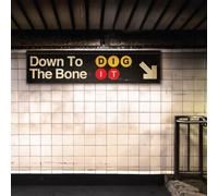 Down to the Bone Dig It (CD) Album