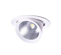 Downlight LED 30 W Forcella rotonda (bianco freddo)