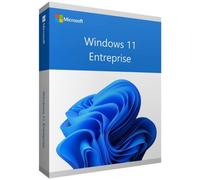 Download digitale aziendale di Microsoft Windows 11