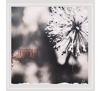 Downpilot - Like You Believe It