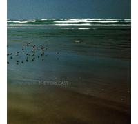 Downpilot The Forest (CD) Album