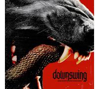 Downswing And Everything Was Dark (CD) Album