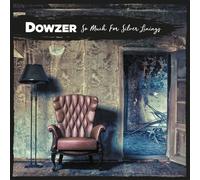 Dowzer So Much For Silver (Vinyl LP)