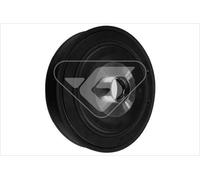 DP040 HUTCHINSON Puleggia cinghia, Albero a gomiti per RENAULT