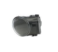 DPA 89410227302 Fendinebbia per AUDI A6 Avant (4F5, C6)