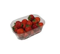 DPdantepellacani 1150 CESTINI VASCHETTE IN PLASTICA PER PICCOLI FRUTTI - CONTENITORI IN PLASTICA CON FORI USO ORTOFRUTTA ORTAGGI CAPACITA' 250gr FRUTTA