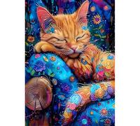 DPHERO DIY Sleeping Cat Diamond Painting Kits for Adults,5D Diamond Art Kits for Beginners,Round Full Drill Orange Cat Diamond Painting Art,DIY Painting by Numbers Diamond Art Painting 12x16 inch
