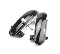 DPIPUBZSZ Indicatore di direzione dinamico 2pcs lampeggiante for Mercedes-Benz W171 R171 SLK R230 W230 SL indicatore luminoso specchietto laterale auto