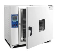 DPLXQPP Forno Essiccazione ad Aria,Forno Industriale ad Alta Temperatura,Forno da Laboratorio a Temperatura Costante,Forno di Essiccazione,Piccolo Essiccatoio