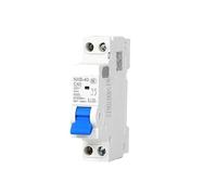 DPN 1P+N NXB-40 NXB40 Replace DZ267-32 6A 10A 16A 20A 25A 32A 40A 220V Miniature Circuit Breaker MCB EKFBQBGW(25A)