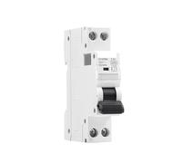 DPN MCB 1P+N 6A 10A 16A 20A 25A 32A 40A 220V AC Circuit Breaker 6KA C Curve B Curve Din Rail 6KA MCB BIANMTSW(C Curve,25A)