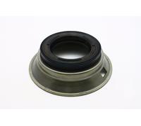 DPO / AL4 Pistone E1 Grande 240 GHJ Per Peugeot, Citroen, Renault OEM