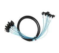 Dpofirs Cavo Dati da 6 a 6, Dischi Rigidi alla Scheda Array Mini SAS, Cavo Mini SAS da 6 Gbps, Curvatura Dritta da 6 a 6 (0,5 m/19,7 Pollici)