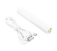 Dpofirs Lampada per Penna Piccola per Unghie Aggiornata 60S Penna per Luce per Unghie Ad Asciugatura Rapida Caricatore USB Fototerapia Asciugacapelli per Tecniche di Manicure 3 Chip di Luce