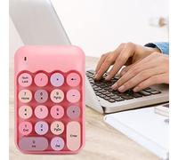 Dpofirs Mini Tastierino Numerico Wireless X910 con 18 Tasti Rotondi, Tastierino Numerico USB Impermeabile Rosa Stile retrò per Computer e Laptop, Tastierino Colorato per Contatori