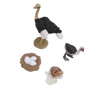 Dpofirs Set di Figure del Ciclo di Vita dello Struzzo, 4 Pezzi Realistici | Statuette realistiche di struzzo per bambini, giocattolo educativo per il ciclo di crescita degli animali, PVC resistente