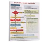 DPURPIWADY Advanced Cardiac Life Support ACLS Algorithm Poster Code Blue Reference for Healthcare Providers Education(Framed,12x18inch(30x45cm))