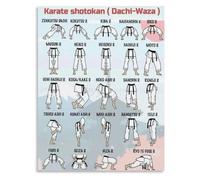 DPURPIWADY Essential Karate Stances Poster Martial Arts Dojo Canvas Wall-Art(Framed,16x24inch(40x60cm))