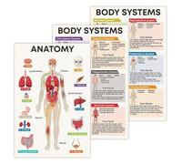 DPURPIWADY Human Anatomy Posters Organ Systems Chart Set Educational Wall-Art for Science Classroom Students Biology Study Reference Teaching Tool(Framed,08x12inch(20x30cm))