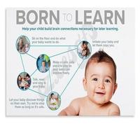 DPURPIWADY Infant Growth Chart Developmental Milestones by Month for Nursery Decor First Year Tracking Educational Poster(Framed,16x24inch(40x60cm))