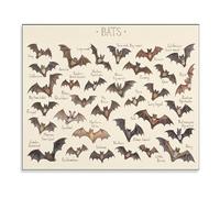 DPURPIWADY North American Bat Conservation Poster, Wildlife Awareness Educational Art, Aesthetic Canvas Print for Home Classroom Decor (Framed,16x24inch(40x60cm))