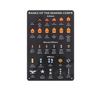 DPURPIWADY Service Branch Rank Badge Chart Poster - Complete Military Insignia Guide for Display(Framed,12x18inch(30x45cm))