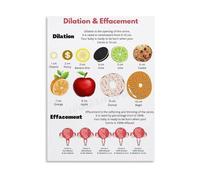 DPURPIWADY Stages of Labor Educational Chart Cervical Changes Poster Canvas Wall-Art Pregnancy Reference for Doula Midwife Office(Unframed,16x24inch(40x60cm))