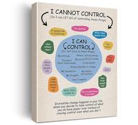 DPURPIWADY The Control Mental Health Poster - A Visual Guide to Reducing Worry, Perfect for Therapy, Home Study & Office Wall Decor(Unframed,08x12inch(20x30cm))