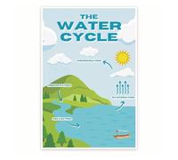 DPURPIWADY The Water Cycle Educational Poster - Laminated Science Chart for Teachers & Parents - Classroom Homeschool Learning Decor(Unframed,12x18inch(30x45cm))
