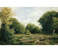DQCJIYIGL Dipinti Famosi Painting Quadri Tela Mural Dipinto Claro en el bosque de Pierre Auguste Renoir per Decorazioni per la Casa 60x90cm