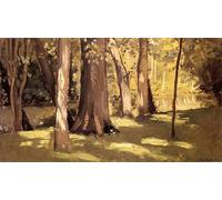DQCJIYIGL Dipinti Famosi Painting Quadri Tela Mural Dipinto El efecto Yerres de la luz de Gustave Caillebotte per Decorazioni per la Casa 60x90cm