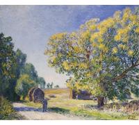 DQCJIYIGL Dipinti Famosi Poster e Stampe Poster Parete Quadri Alrededor del bosque un claro Autour De La Foret de Alfred Sisle per L'arredamento del Soggiorno 60x90cm