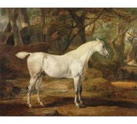 DQCJIYIGL Dipinti Famosi Tela e Immagini Vintage Quadri un semental árabe gris propiedad de Sir Watkin Williams por un artista famoso per L'arredamento Della Camera da Letto 60x90cm