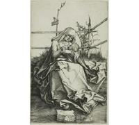 DQCJIYIGL Famoso Poster Con Artistiche Painting Image Dama sobre un banco de hierba de Albrecht Dürer per la Decorazione Della Parete 60x90cm