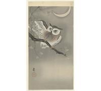 DQCJIYIGL Famoso Poster Con Artistiche Painting Image Gaviota sobre roca de Ohara Koson per la Decorazione Della Parete 60x90cm